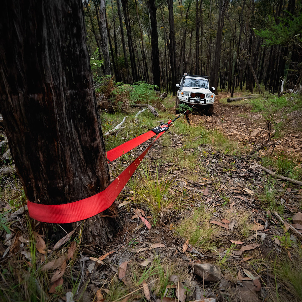 Saber Tree Trunk Protector - image 2