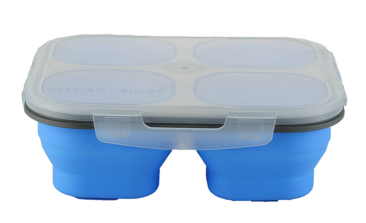Collapsible Space Saving Products 4-Compartment Storage Container